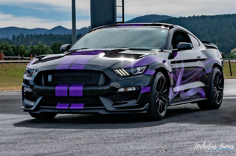 Purple And Black Mustang